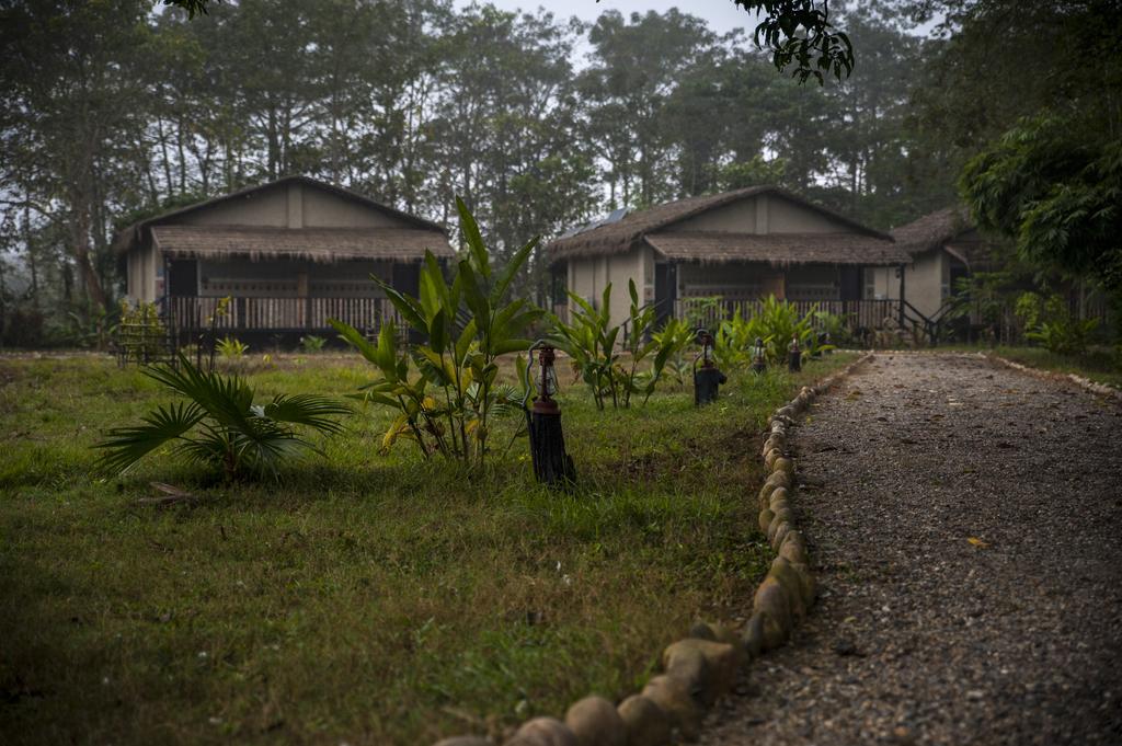 Siddhartha Wildlife Retreat Meghauli Exterior foto